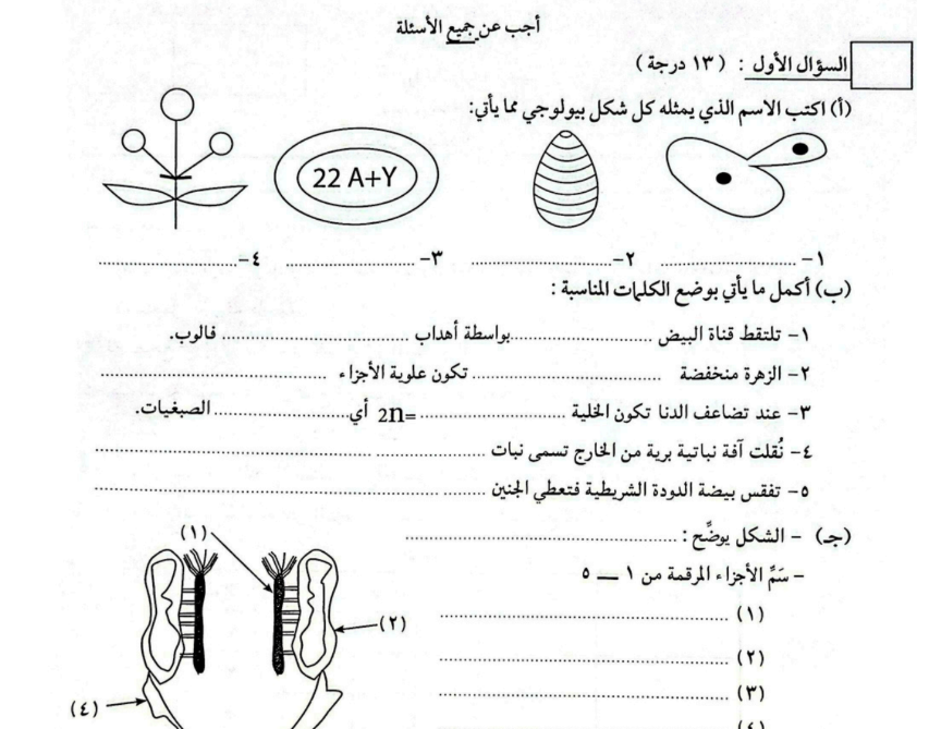 امتحان الاحياء الثالث الثانوي السودان 2026 pdf
